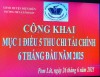 MỤC 1 ĐIỀU 5 THU - CHI TÀI CHÍNH 6 THÁNG NĂM 2025